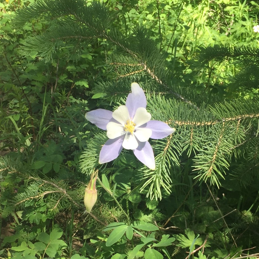 Meet your Posher, Brooke